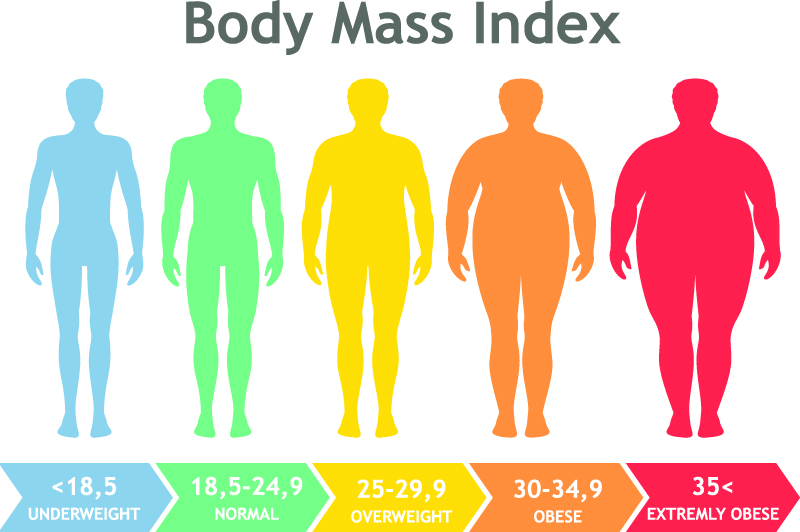 Body Mass Index -where do you fit in?