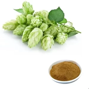 Hops plant extract for weight loss